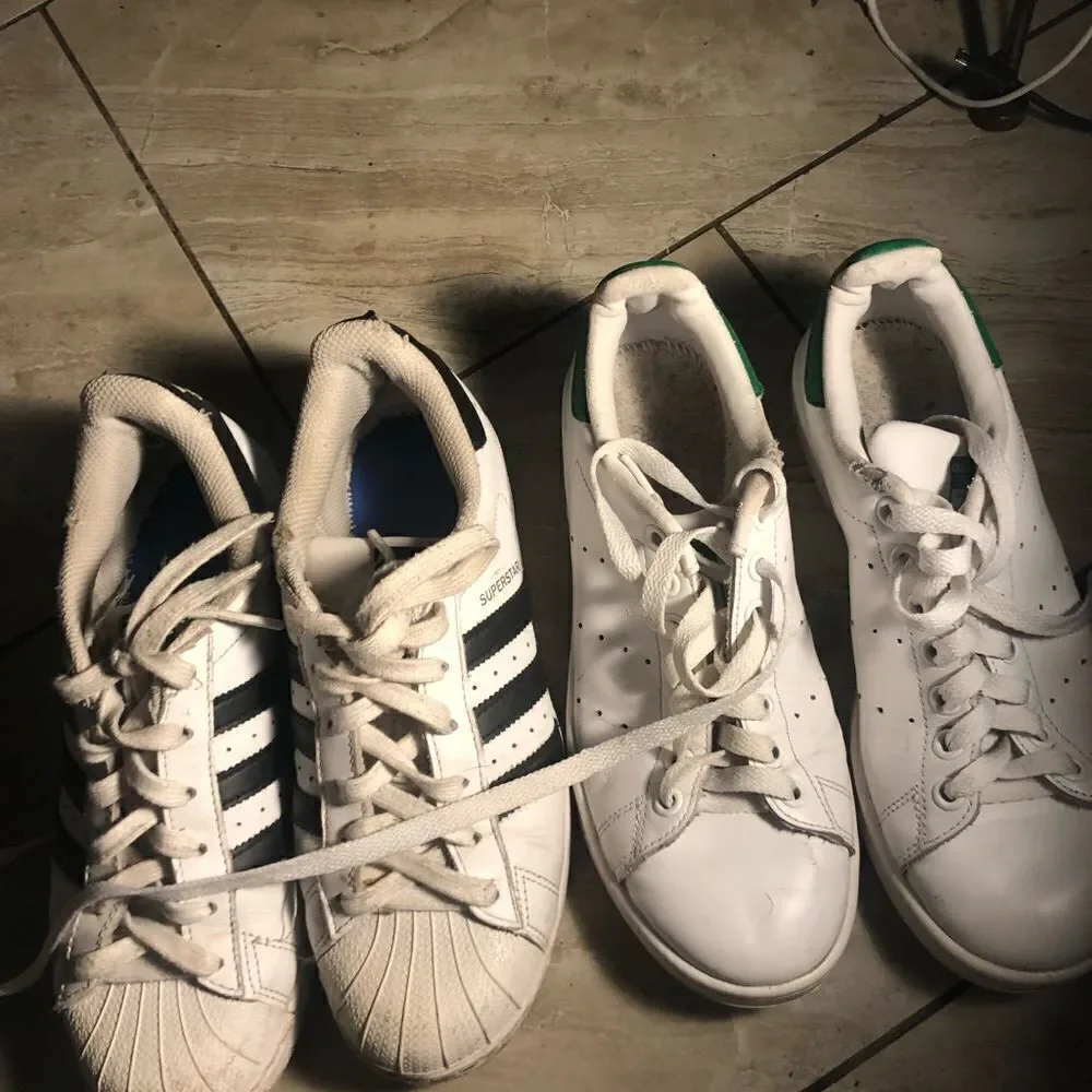 Adidas Shell Toe Superstars